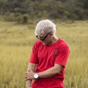 Remera algodón